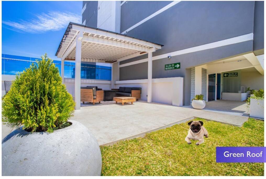 1102 Torre Los Yoses Hermoso Apartamento En Barrio Escalante Sin Parqueo ซานโฮเซ ภายนอก รูปภาพ