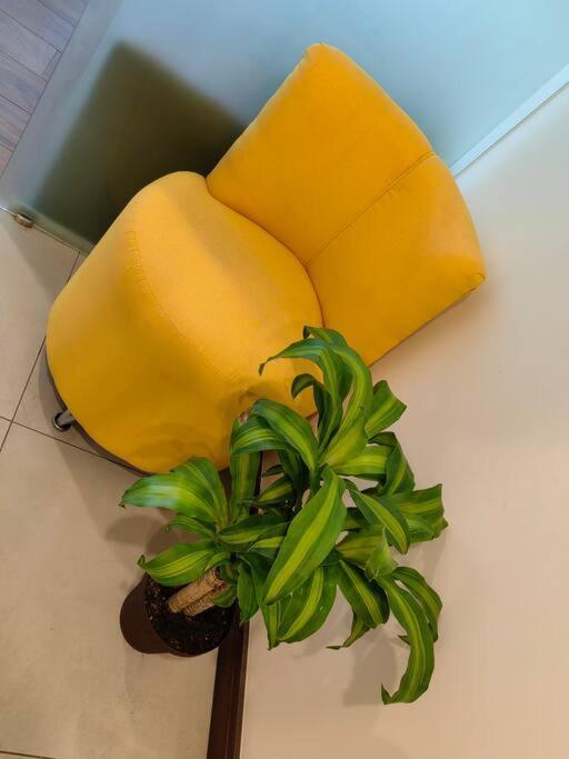 1102 Torre Los Yoses Hermoso Apartamento En Barrio Escalante Sin Parqueo ซานโฮเซ ภายนอก รูปภาพ
